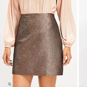 Metallic Taffeta Shift Skirt (10)